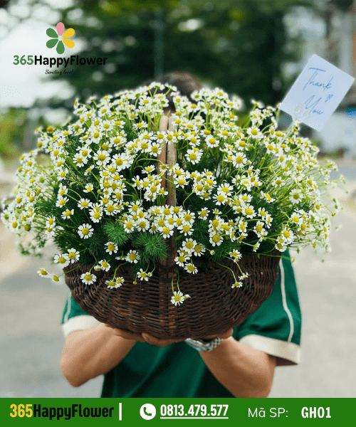 Giỏ hoa tươi – GH01